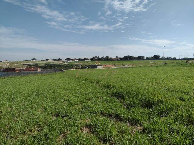 #1172 - Terreno para Venda em Campinas - SP - 3