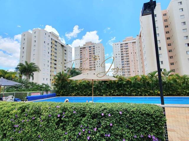 #1181 - Apartamento para Venda em Campinas - SP - 1