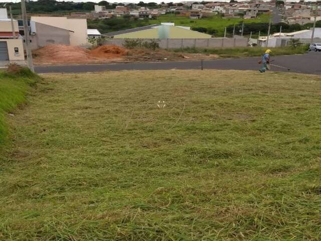 #TE00067 - Terreno para Venda em Campinas - SP - 1
